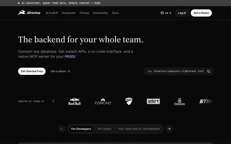Screenshot of the Directus homepage