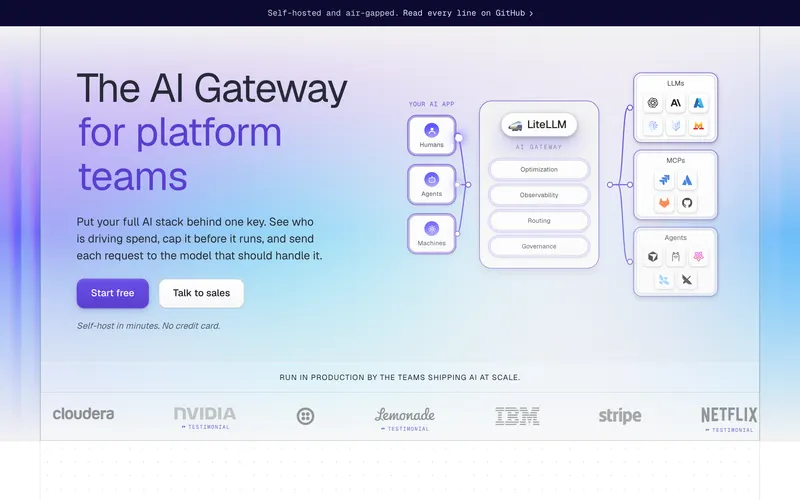 Screenshot of the LiteLLM homepage