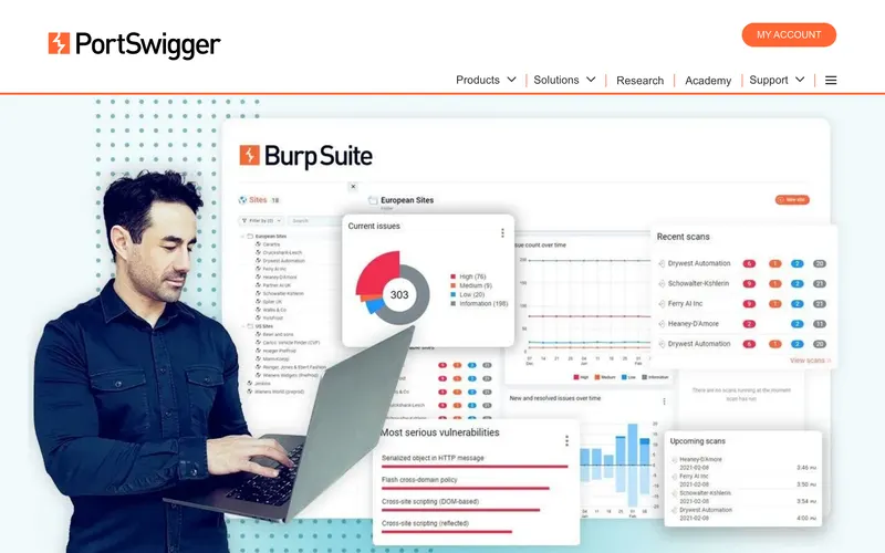 Screenshot of the PortSwigger homepage